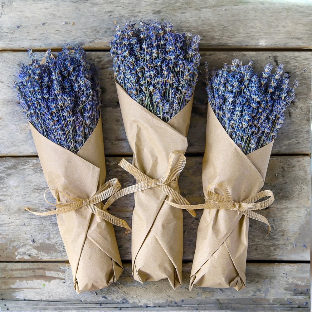 Blue Lavendar